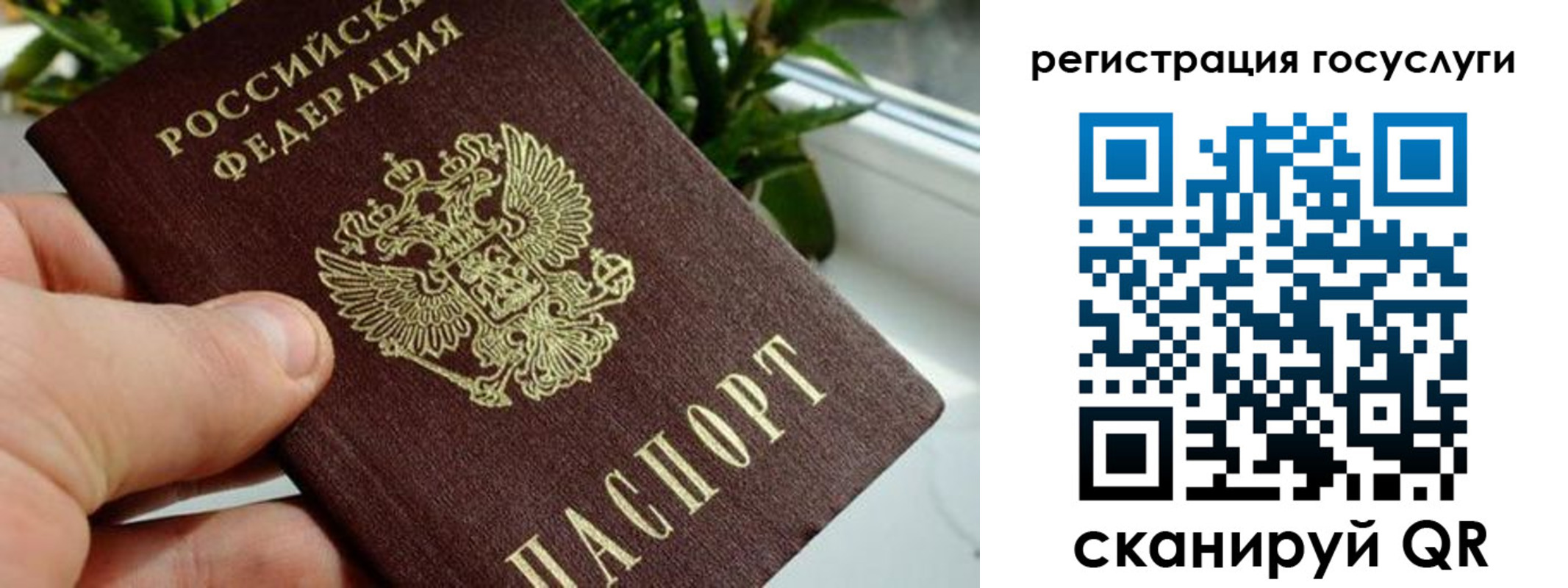 временная регистрация недорого в Петрозаводске